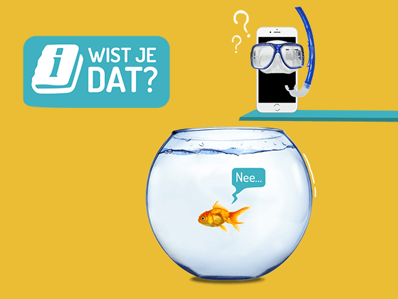 Jeu dating simulatie Français
